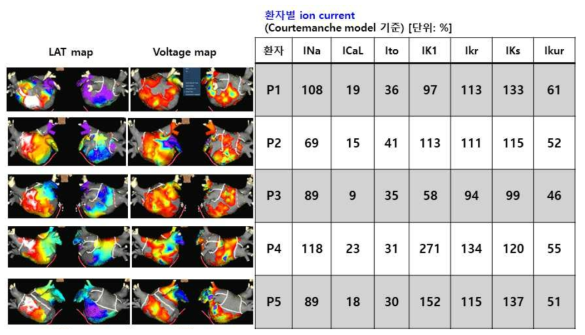 단상활동전위로부터 계산되어진 각 환자별 이온전류의 특성 (Courtemanche model 기준)