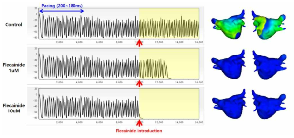 항부정맥제 (Flecainide)를 농도별로 주입하여 심방세동의 소멸여부 평가분석 example. Flecainide 주입하기 이전에는 심방세동이 계속 유지가 되고 있으나, 1uM의 Flecainide를 주입했을 때, 4초 이내에 심방세동이 소멸되었음을 결과로 알 수 있음