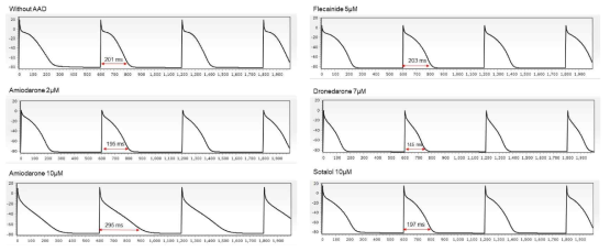 심방세동 치료제 종류 및 농도에 따른 활동전위기간 측정