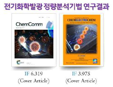 ECL 정량분석기법 연구 결과