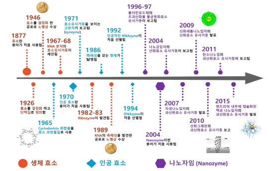 생체 효소(Enzyme), 인공 효소(Artificial enzyme), 나노자임(Nanozyme) 연구들의 역사적 배경 및 성취