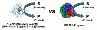 나노자임(Nanozyme)으로서의 덴드리머 내부에 캡슐화 된 나노입자(DEN)