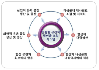 본 과제에서 개발한 유전자 발현 조절 시스템의 다양한 활용범위