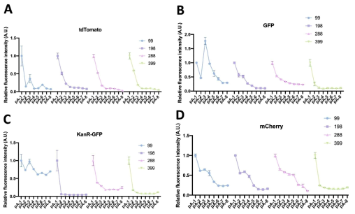 Leader sequence 길이에 따른 4개의 유전자의 발현 정도. (A) tdTomato, (B) GFP, (C) KanR-GFP, (D) mCherry