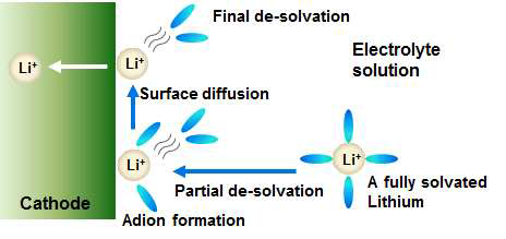 리튬이온의 계면전하이동 반응에 대한 Adion 모델. (i) 용매화된 자유이온이 부분적 탈용매 (partial de-solvation) 되며 전극 표면에 흡착하여 Adion을 형성하고, (ii) 이어서 리튬이온이 남은 용매들을 탈리하며 전극 내부로 삽입되는 두 단계로 구성됨. 그러나 이온쌍이 주 이온종인 고농도 전해질에서의 전하이동은 Adion 모델로 설명될 수 없음