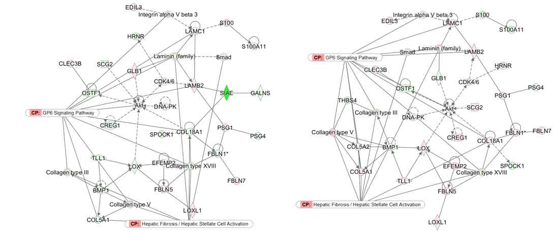 Tissue development and inflammatory disease