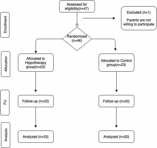 Flow diagram of participants