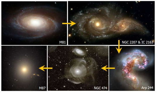 은하의 병합 단계를 단계적으로 보여주는 그림. (1) M81은하군 안에 있는 나선 은하 M81-미래에 M82, NGC 3077와 병합할 것으로 예상됨. (2) 병합의 초기 단계에 있는 나선은하의 쌍 NGC 2207/IC2163. (3) 활발한 병합 단계에 있는 나선은하의 쌍 Apr 244(더듬이 은하). 젊은 성단과 별이 매우 많이 보임. (4) 병합의 만기 단계에 있는 타원 은하 NGC 474. 은하 주위에 다수의 고리(shell) 구조가 보임. (5) 병합의 최종 단계에 있는 거대 타원은하 M87. 처녀자리 은하단의 중심부에 있음