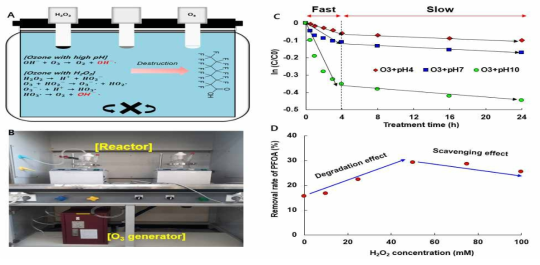 오존처리 조건별 PFOA 처리효율