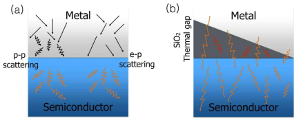 (a) 펨토초 레이저로부터 얻은 에너지를 열 에너지의 형태로 금속에서 반도체로 전달하는 두 가지 과정: (1) 금속 내 전자와 금속의 포논이 먼저 에너지를 주고 받은 후, 금속의 포논이 반도체의 포논에 에너지를 전달해 주는 과정과 (2) 금속의 뜨거운 전자가 직접 반도체의 포논과의 상호 작용으로 열을 전달하는 과정. (b) 금속에서 생성된 다양한 MFP(mean free path)를 가지는 포논들 중 금속- 반도체 계면에 삽입된 SiO2 비결정질 층의 두께보다 큰 경우만 반도체 내 열 전도성에 영향을 미칠 수 있다