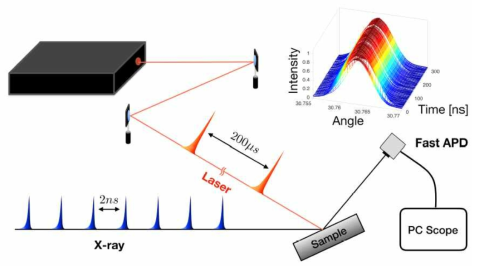 Schematic for time-resolved x-ray scattering at PLS-II. 50-ps x-ray pulses and 100-fs infrared laser pulses are delivered to the sample. The diffracted signal is measured by a high-speed APD capable of resolving 2 ns x-ray bunch separation