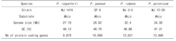 General features of genomes of meju-derived Penicillium spp