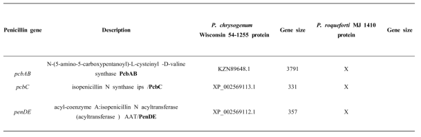 Analysis of penicillin biosynthetic genes in meju-derived P. roqueforti MJ1410