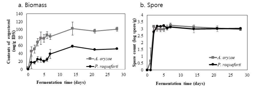 Growth and sporulation during whole soybean meju fermentation