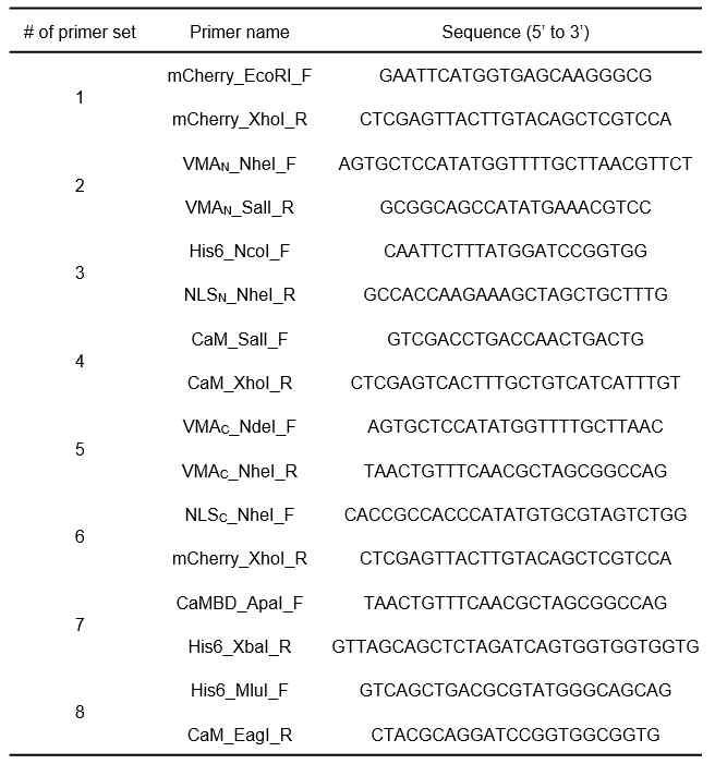 Ca2+ 검출을 위한 fusion protein 제작에 사용된 프라이머