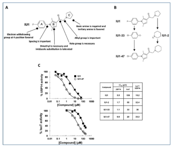 USP14 소분자 화합물 저해제에 대한 의학적 구조-기능 관계(structure-activity relationship, SAR) 연구. 약 87개의 IU1 유래 합성 화합물 제조와 USP14 저해정도를 테스트하여 약 10배 더 효능이 높은 화합물인 IU1-47 동정