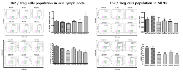 피부 및 장간막 림프절 내 Th2 / Treg 세포 분포 비교