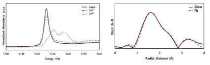 인산철 유리의 XANES (좌) 및 EXAFS (우) 스펙트럼
