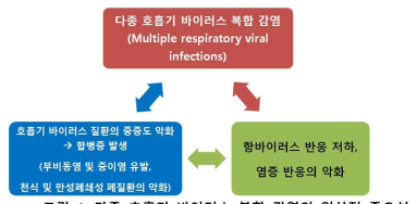 다종 호흡기 바이러스 복합 감염의 임상적 중요성