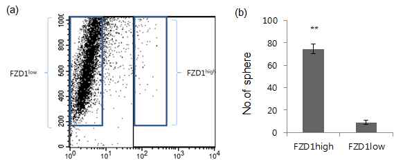 FZD1 발현에 따른 자가 증식능력의 차이