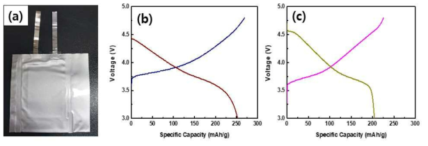 제작된 전지(a)와 전기화학적 평가 1C(b), 10C(c) 데이터