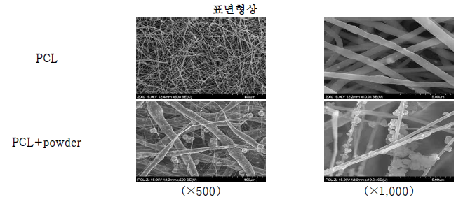 PCL 공정후 SEM 확인