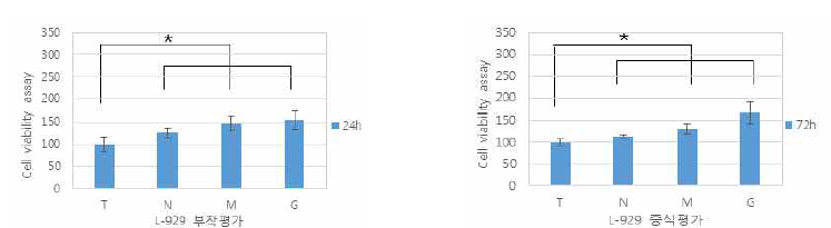 치은섬유아세포 (L-929) 부착 및 증식 평가