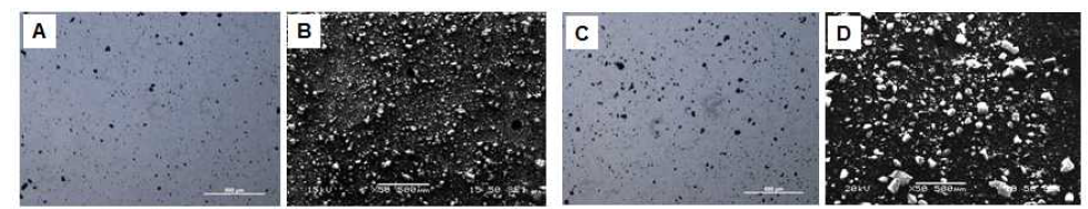 HAp(A, B) 및 HAp-Polydopamine(C, D) 미립자의 광학현미경 및 전자현미경 사진