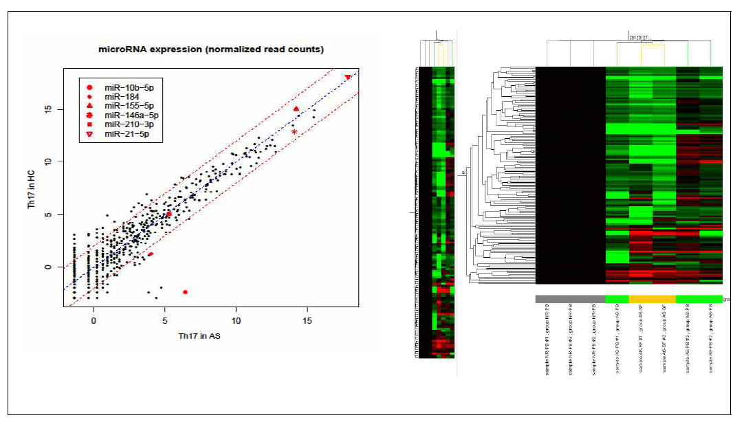 miRNA sequencing of Th17 cell