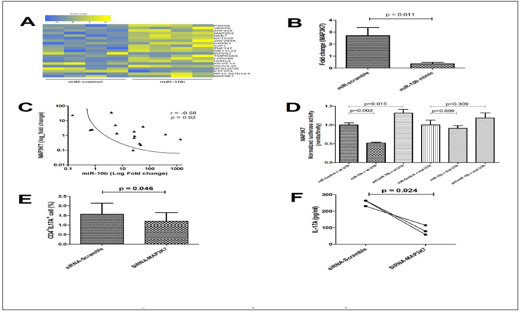 Functional study on Th17 cell by miRNA