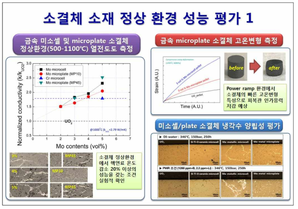 소결체 소재 정상 환경 성능 시험/평가(1)