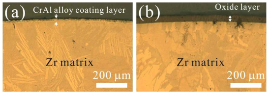 1200도씨 300초 산화 후 급랭된 (a)코팅 및 (b) 기존 지르코늄 피복관의 단면 광학현미경상