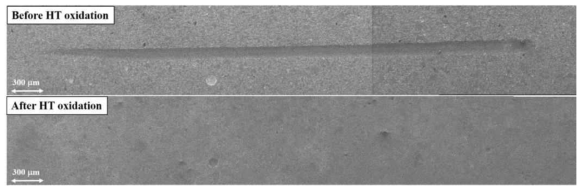 Disappeared scratch trace in CrAl-coated Zr cladding after high temperature steam oxidation tests