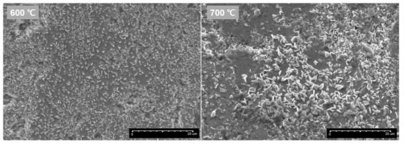 Precipitated Al oxide on the scratch trace of CrAl-coated Zr cladding