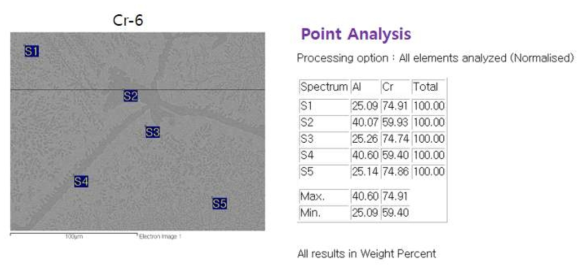 Cr-6 모델 합금의 미세조직 및 조성적 특징
