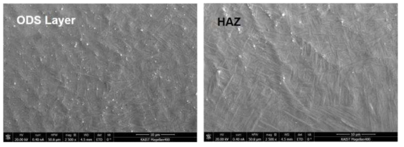 ODS 처리층 및 HAZ 고배율 미세조직 (SEM)