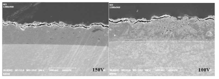 Bias voltage (100V, 150V)에 따른 Cr-Al 코팅막 SEM 단면 사진