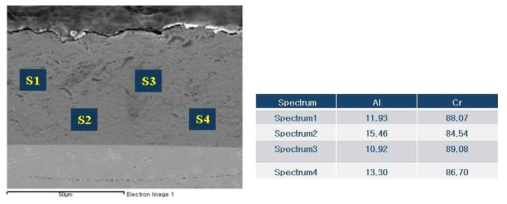 Cr-Al (85:15 wt% )코팅막 EDS 분석