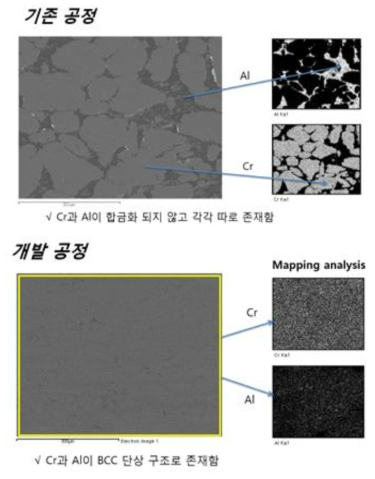 기존 구매 타겟과 개발 타겟의 미세조직 비교 평가