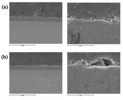 고온 수증기 산화 후 SEM 단면사진 : a)200V, b)400V