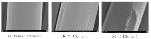 SEM image of the polypropylene fiber according to the various absorbed doses of ɤ-ray irradiation in the air