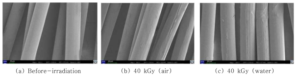 Surface morphology change of the polyprolylene fiber according to the irradiation condition