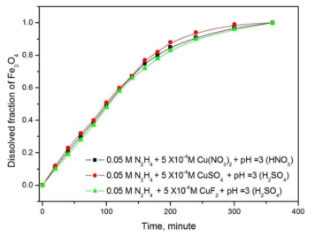 Dissolution of Fe3O4 under various anion condition