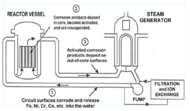 Transport phenomena of radionuclides in PWR