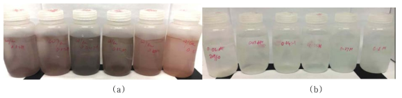 Solutions after Fe3O4 dissolution test(a) without Cu (b) 0.1~1.0 mM Cu(NO3)2 in the HyBRID solution