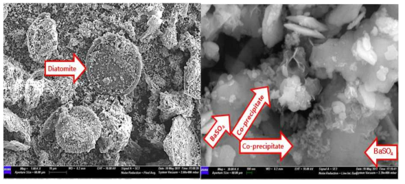 SEM images of the separated precipitates using the filter press equipment