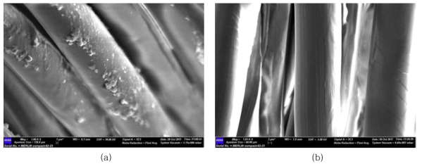 SEM images of filter cloths before and after irradiation tests (80 kGy)