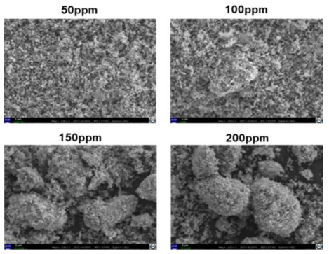 SEM images of products from the removal tests of SO4 and metal ions in a decontamination wastewater surrogate