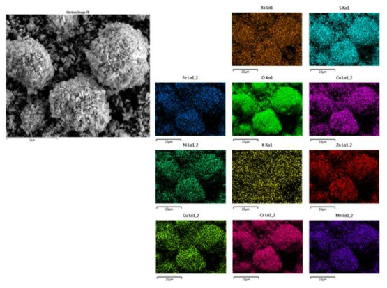 SEM mapping of products from the removal tests of SO4 and metal ions in a decontamination wastewater surrogate