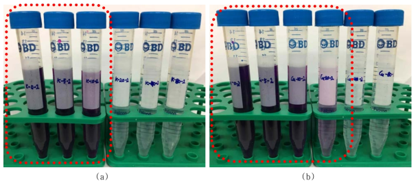 Color change of simulated oxidation decontamination solution at absorbed doses of 0, 5, 10, 20, 40, and 80kGy; (a) SP and (b) SP(Cu)